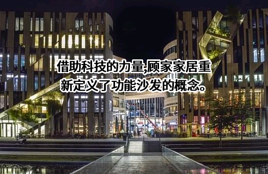 顾家家居股份有限公司