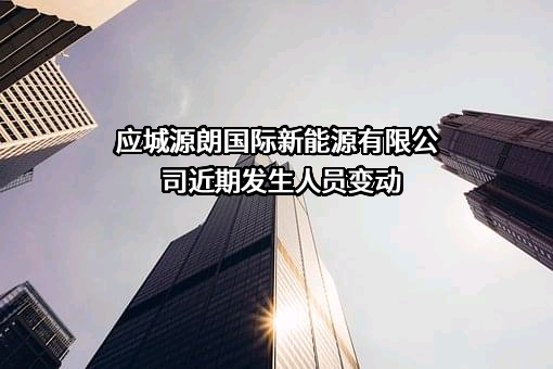 应城源朗国际新能源有限公司