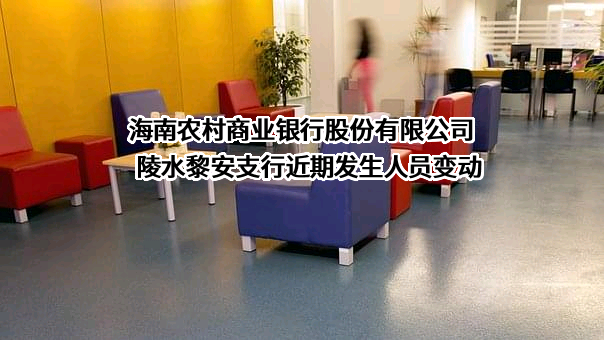 海南农村商业银行股份有限公司陵水黎安支行