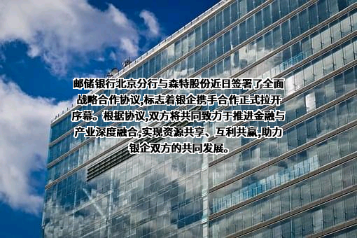 森特士兴集团股份有限公司