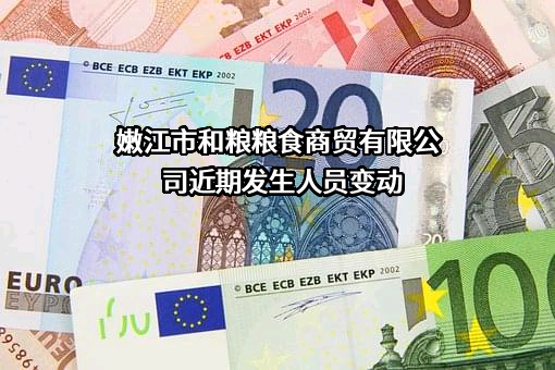 嫩江市和粮粮食商贸有限公司
