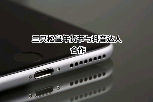 三只松鼠股份有限公司