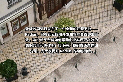 微软（中国）有限公司