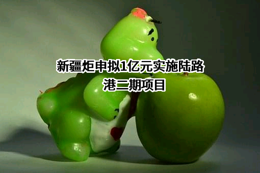新疆炬申陆港联运有限公司
