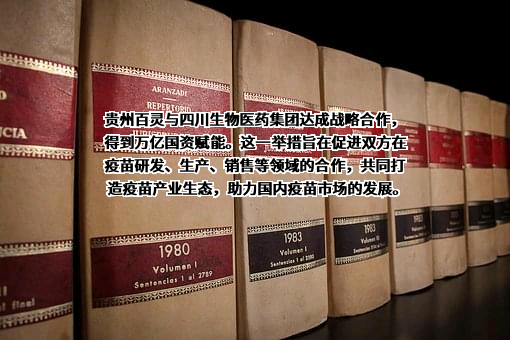 四川发展（控股）有限责任公司