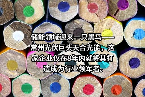 天合光能股份有限公司