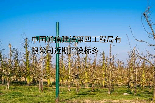 中国通信建设第四工程局有限公司