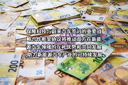 上海蔚来汽车有限公司