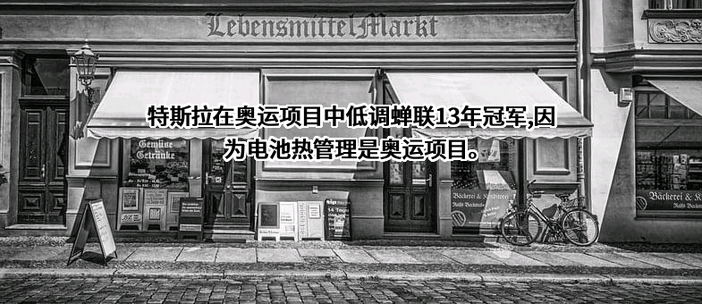 特斯拉（上海）有限公司