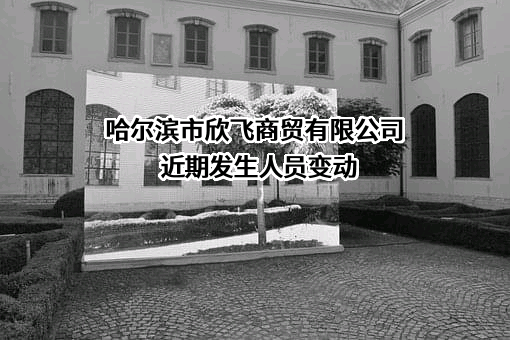 哈尔滨市欣飞商贸有限公司