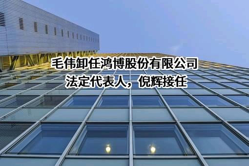 鸿博股份有限公司