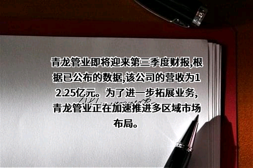 宁夏青龙管业集团股份有限公司