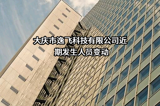 大庆市逸飞科技有限公司