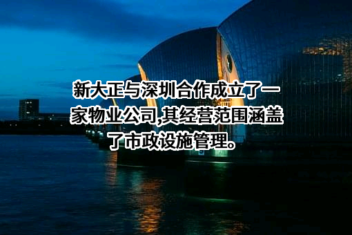 新大正物业集团股份有限公司