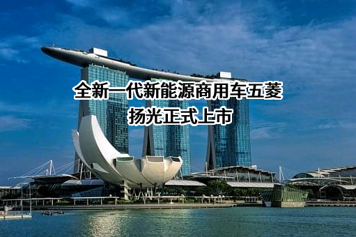 五菱汽车集团控股有限公司
