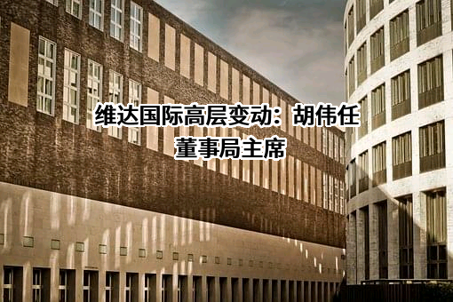 维达国际控股有限公司