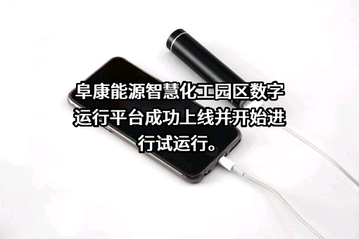 新疆中泰化学阜康能源有限公司