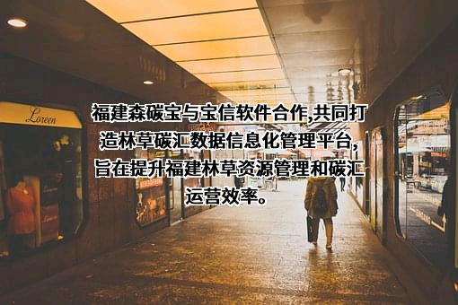 福建森碳宝数字科技有限公司