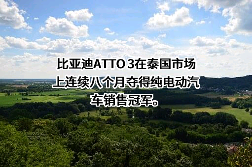 比亚迪股份有限公司