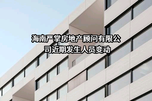 海南严掌房地产顾问有限公司
