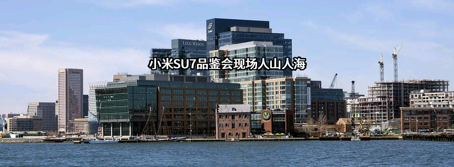 小米科技有限责任公司