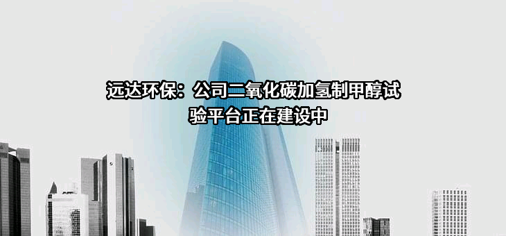 国家电投集团远达环保股份有限公司