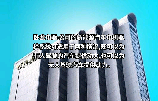 卧龙电气驱动集团股份有限公司