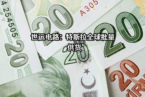 广东世运电路科技股份有限公司