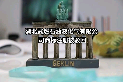 湖北武燃石油液化气有限公司商标注册被驳回