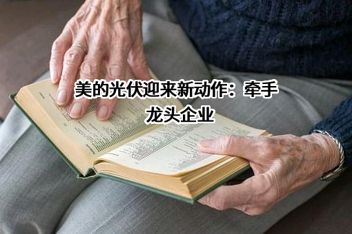 美的集团股份有限公司