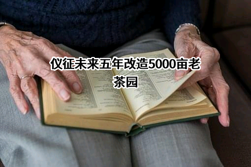 仪征市未来机械制造有限公司