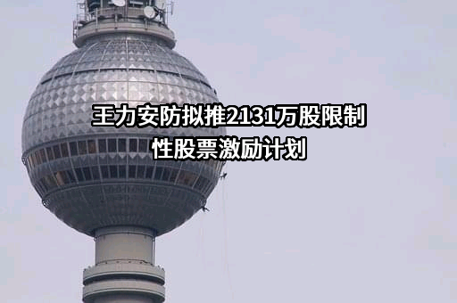 王力安防科技股份有限公司