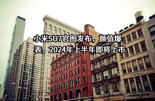 小米科技有限责任公司