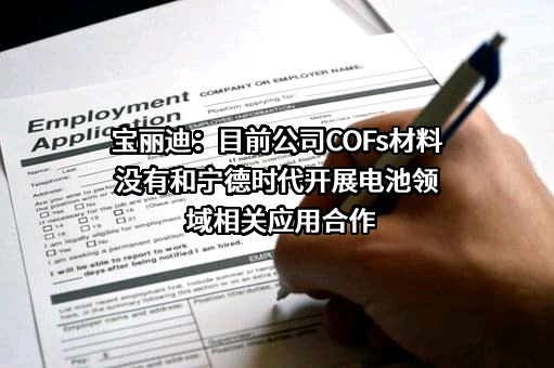 宁德时代新能源科技股份有限公司