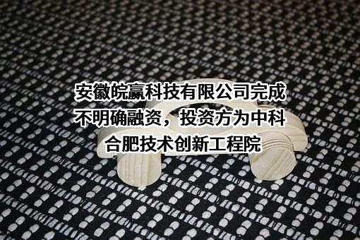 安徽皖赢科技有限公司