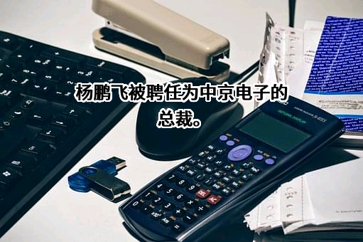 惠州中京电子科技股份有限公司