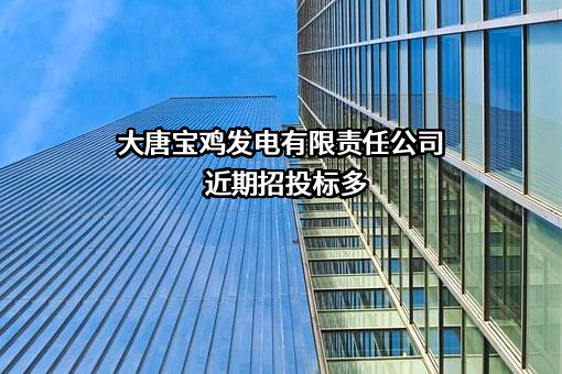 大唐宝鸡发电有限责任公司