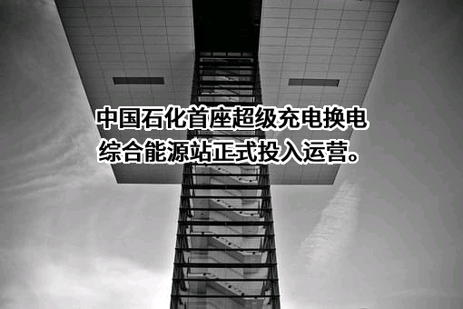 中国石油化工集团有限公司