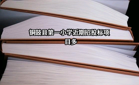 铜鼓县第一小学