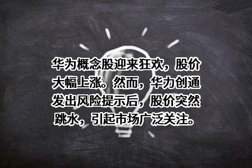 华为技术有限公司