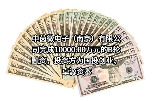 中茵微电子（南京）有限公司