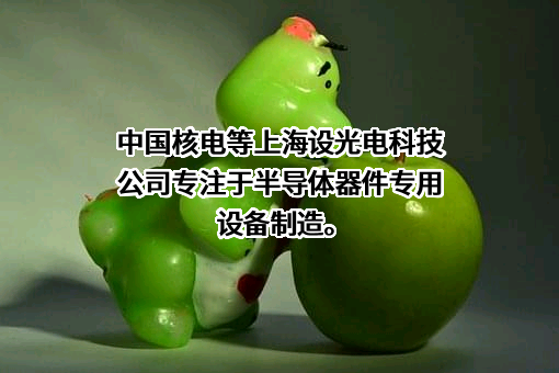中国核能电力股份有限公司