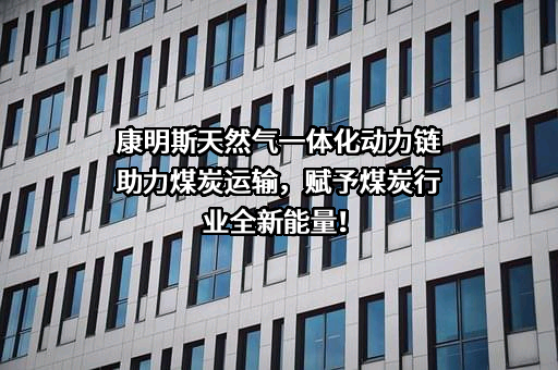 东风康明斯排放处理系统有限公司