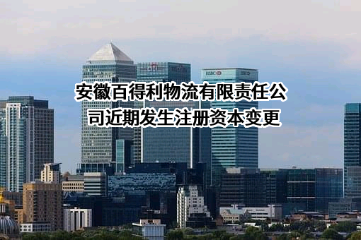 安徽百得利物流有限责任公司
