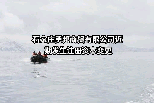 石家庄勇邦商贸有限公司