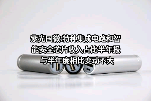 紫光国芯微电子股份有限公司