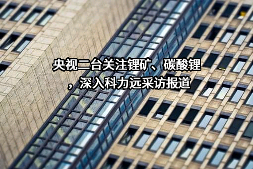 湖南科力远新能源股份有限公司