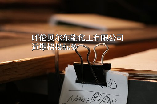 呼伦贝尔东能化工有限公司